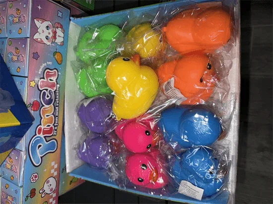 ברווז נידו מעורב צבעים